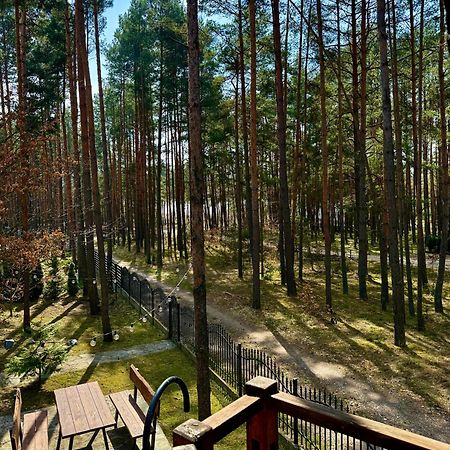 Domek W Lesie Nad Zalewem Chancza Dış mekan fotoğraf